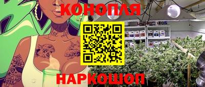 PSILOCYBIN Северобайкальск