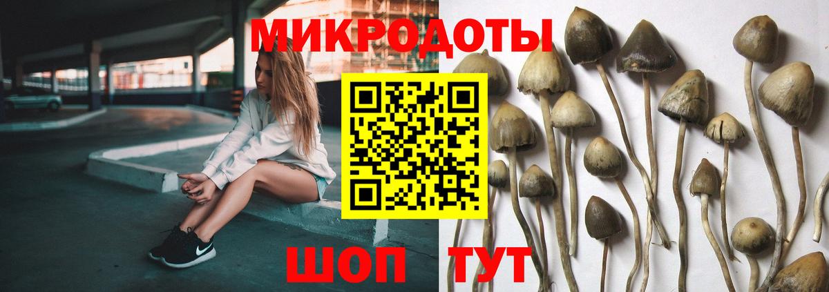 Галлюциногенные грибы Cubensis  Вход с VPN  Мурманск 